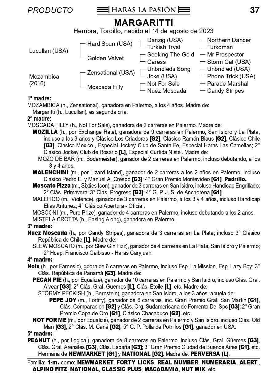 Pedigree MARGARITTI