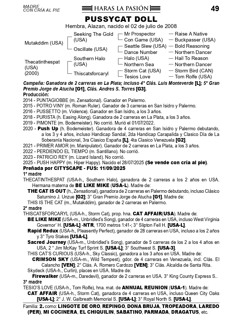 Pedigree PUSSYCAT DOLL