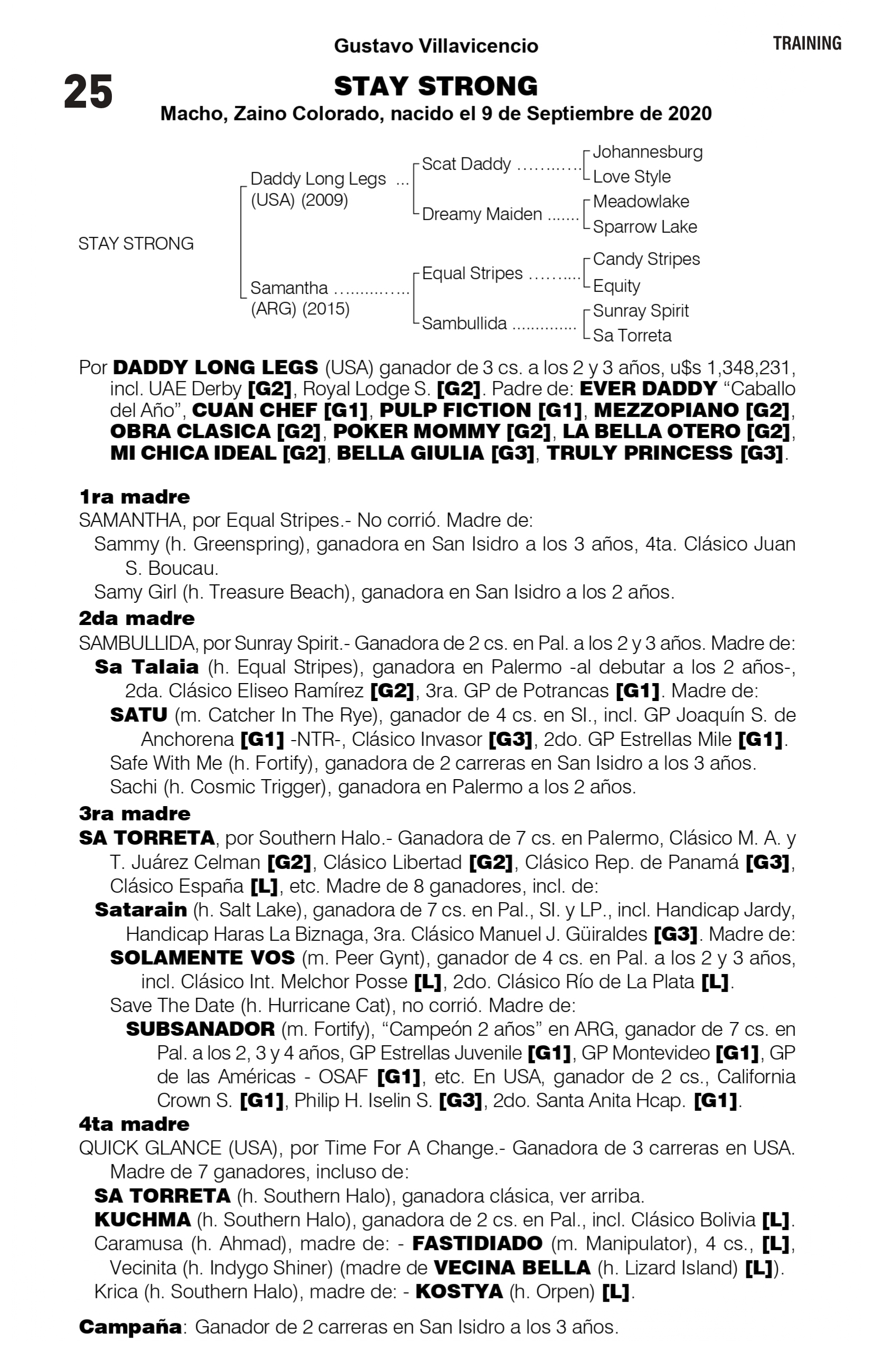 Pedigree STAY STRONG