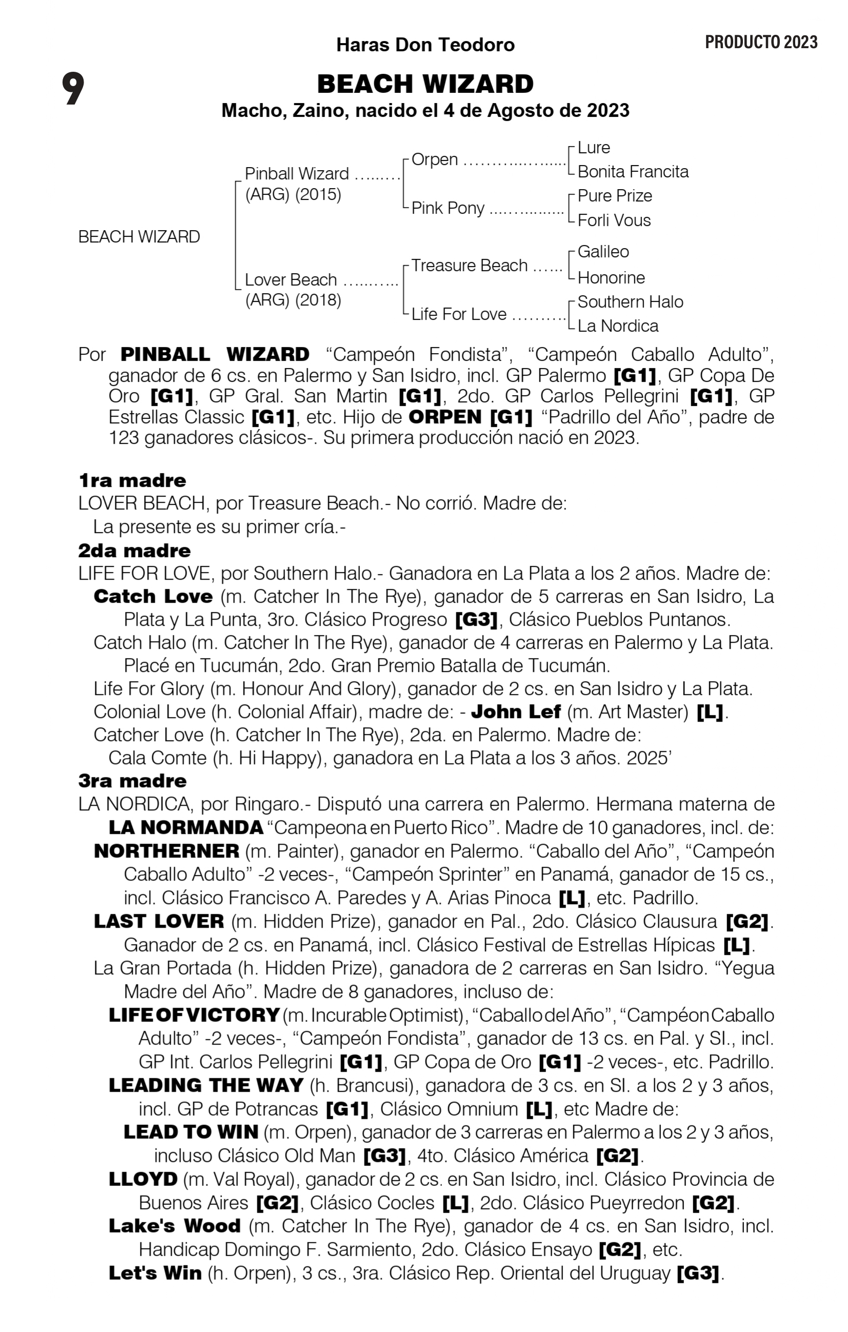 Pedigree BEACH WIZARD