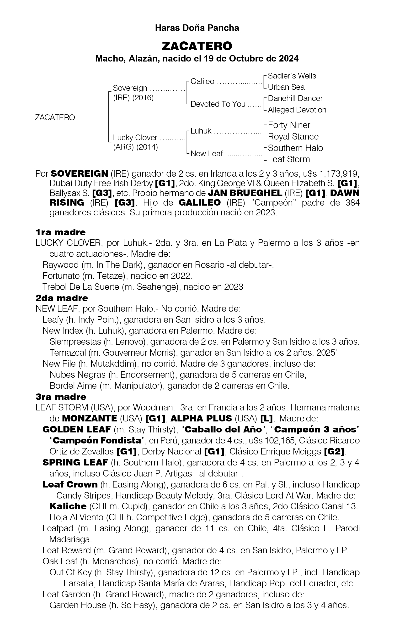 Pedigree ZACATERO