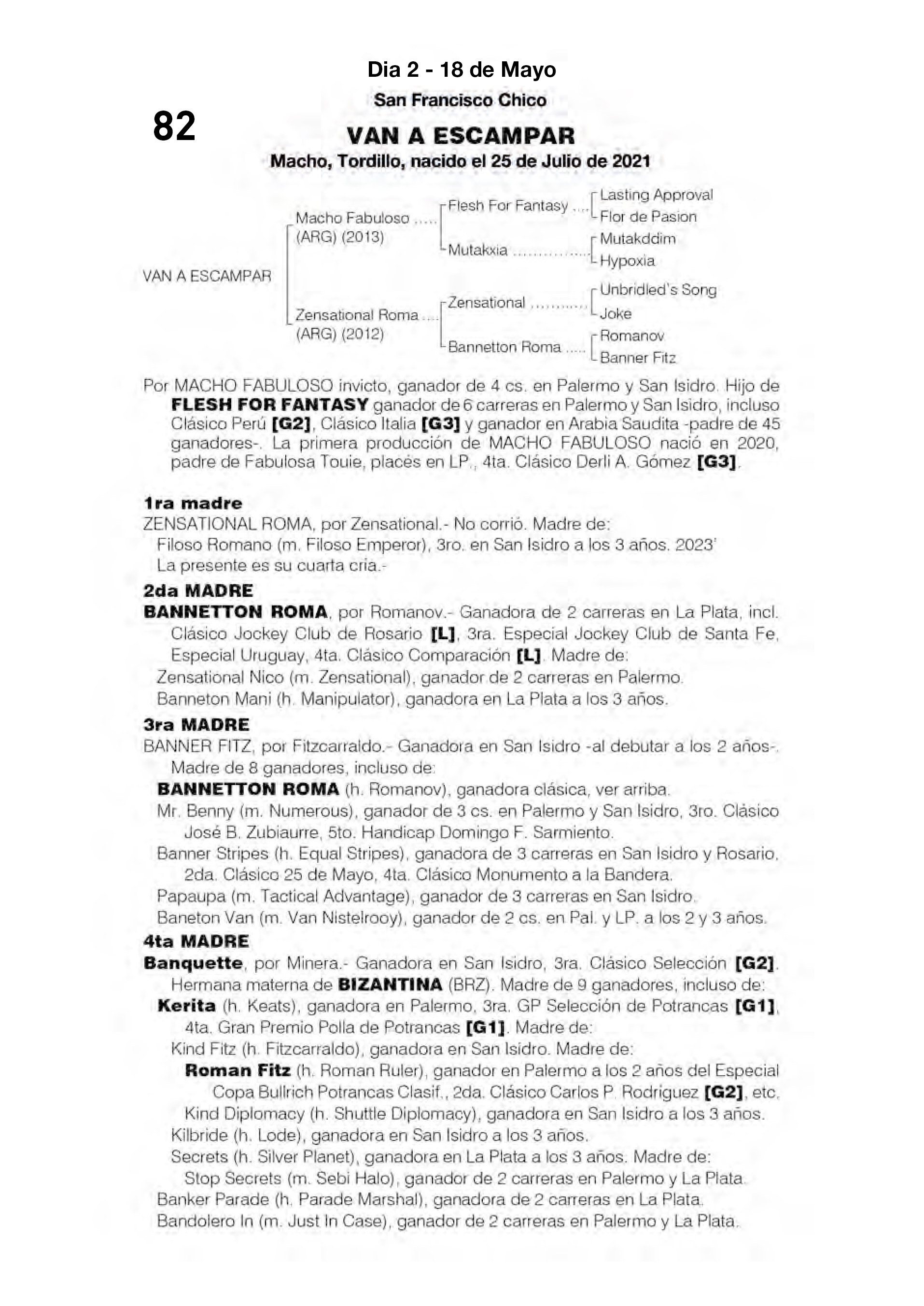 Pedigree VAN A ESCAMPAR