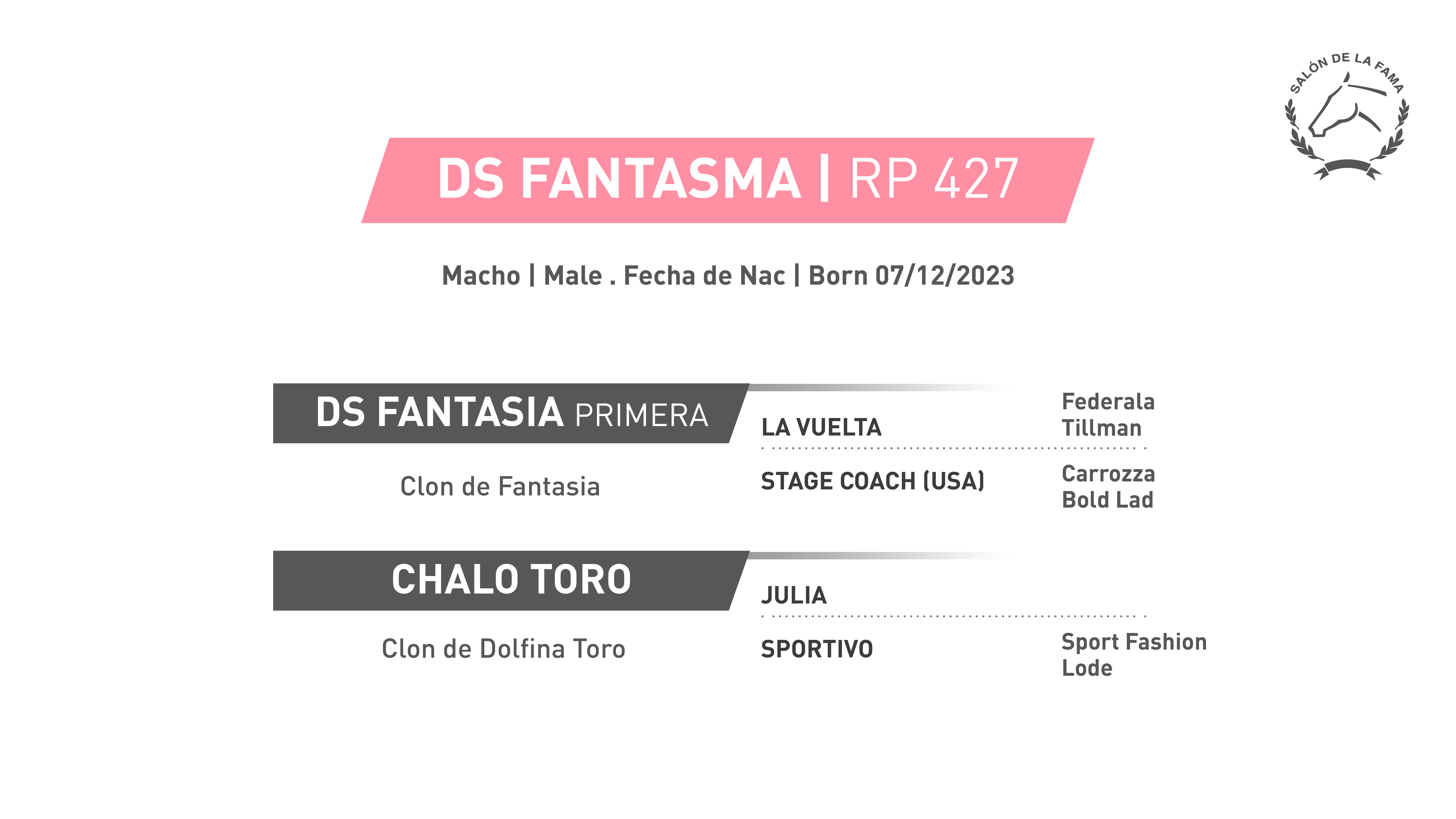 Pedigree RP 427 | DS FANTASMA