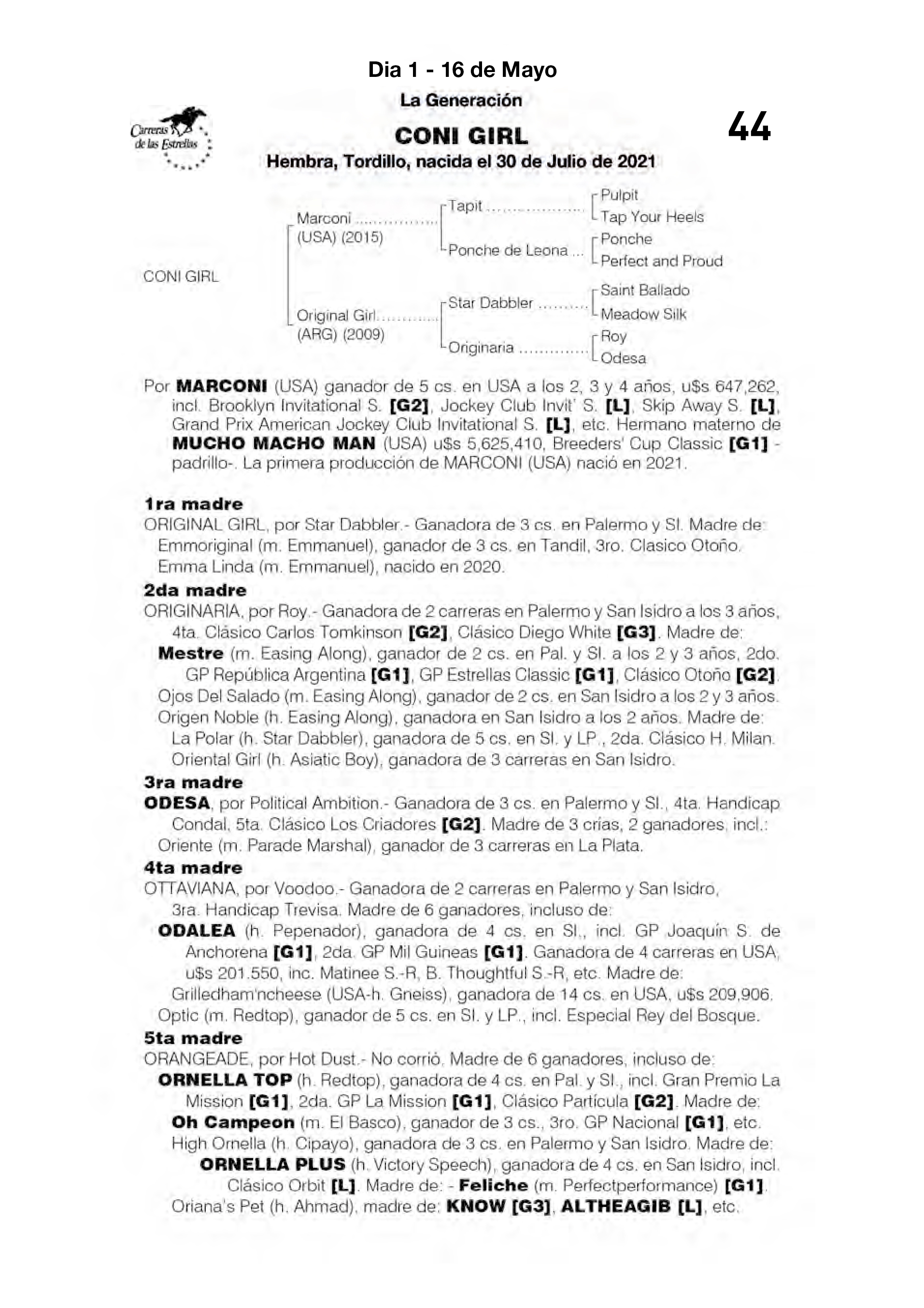 Pedigree CONI GIRL