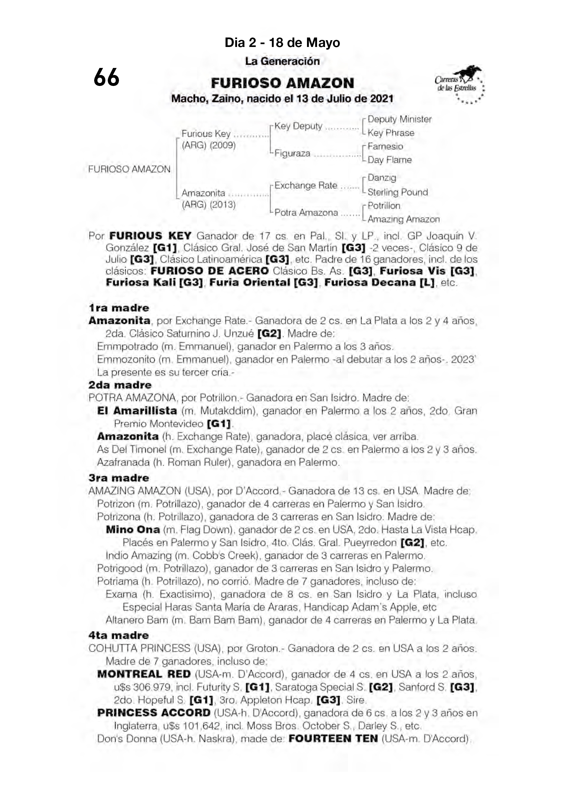 Pedigree FURIOSO AMAZON
