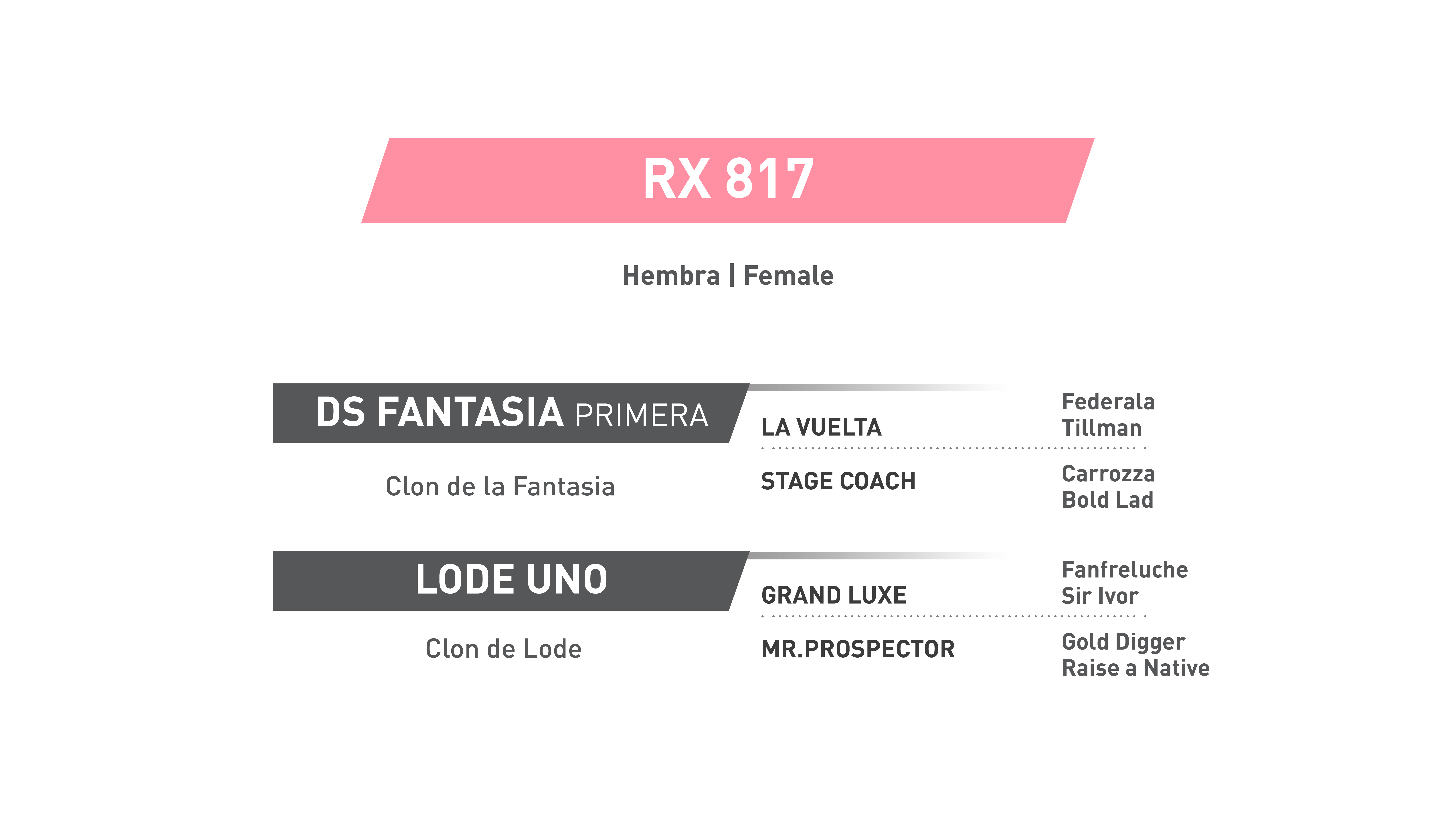 Pedigree RX 817