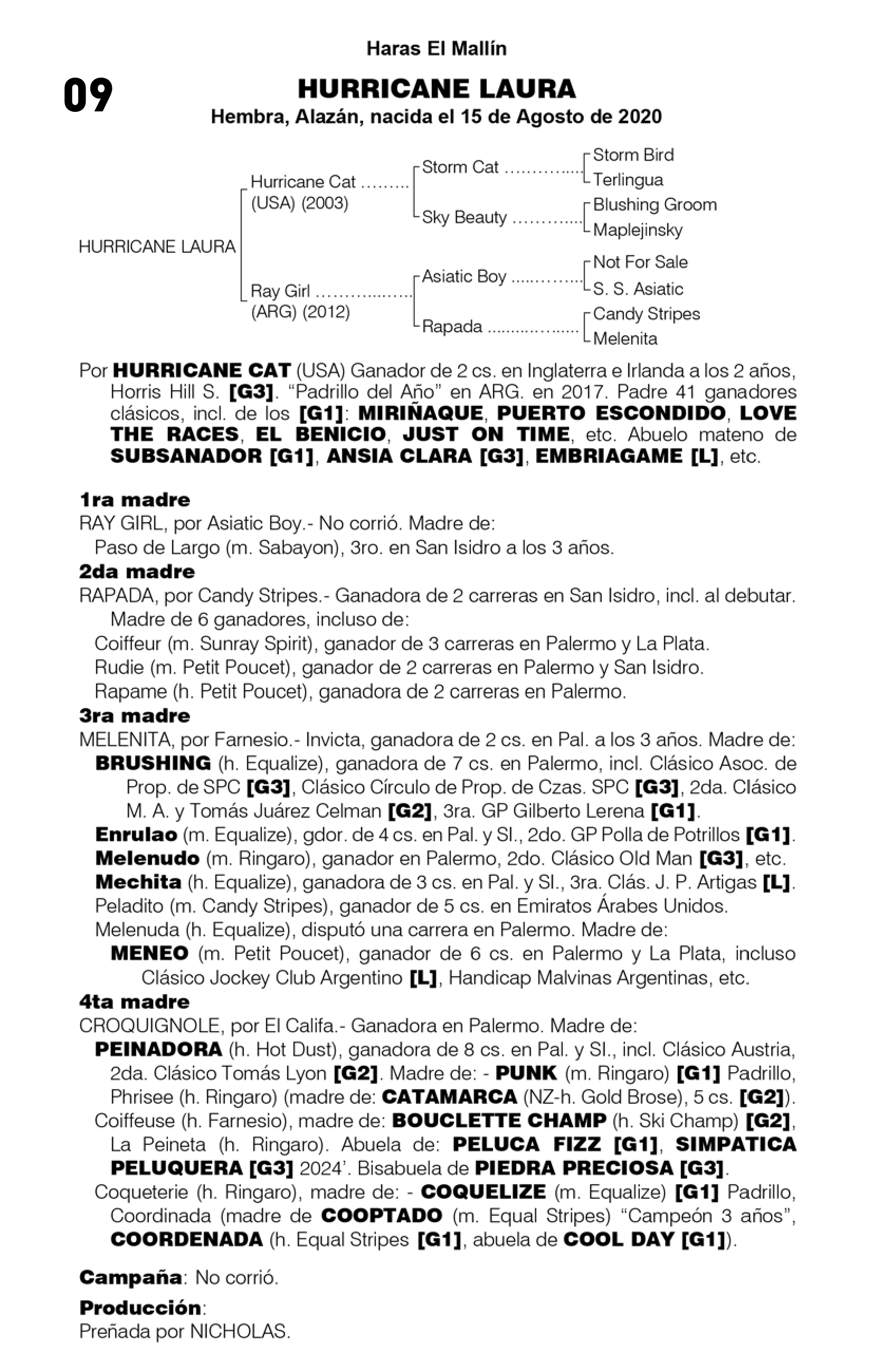 Pedigree HURRICANE LAURA