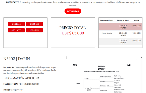 Captura del paso 5: Inicio de las ofertas