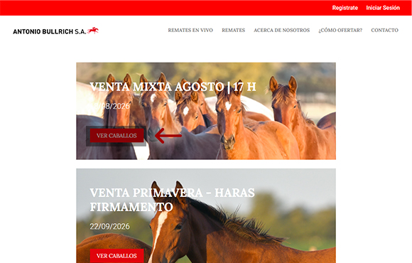 Captura del paso 3: Elegí el remate